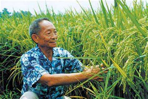 迪拜酋长看上袁隆平这项研究，要在沙漠建绿洲种水稻！_凤凰网科技_凤凰网