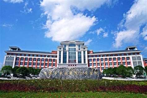 上海市东方医院吉安医院最新招聘信息 - 医直聘