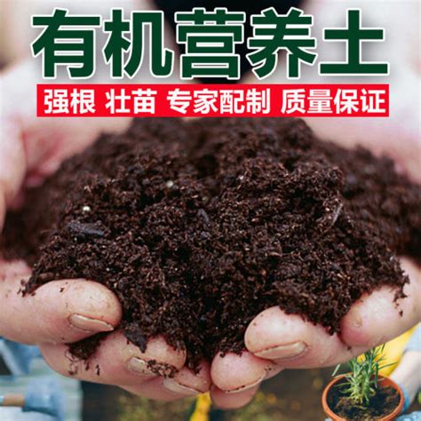 营养土批发有机土种菜土多肉土养花的泥土种植土基质育苗土泥炭土-阿里巴巴