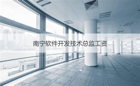 南宁软件开发技术总监工资 技术总监岗位职责【桂聘】