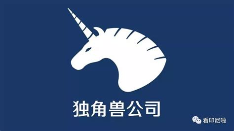 中国独角兽企业研究报告2021|瞪羚云|长城战略咨询