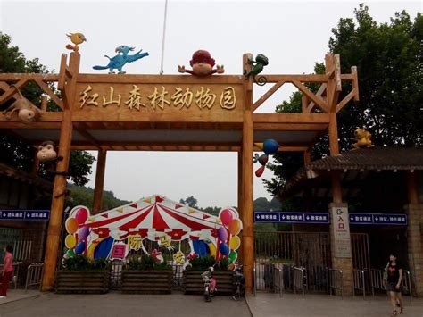 古都第一农家乐—南京红山森林动物园 - 知乎