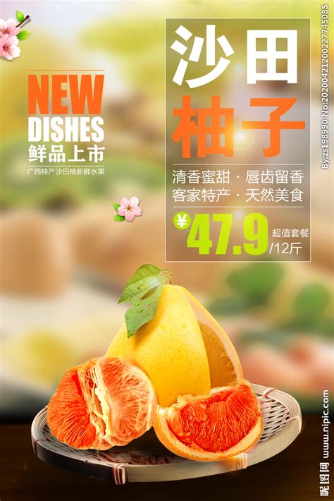 沙田清新红心柚子特产海报设计图__海报设计_广告设计_设计图库_昵图网nipic.com