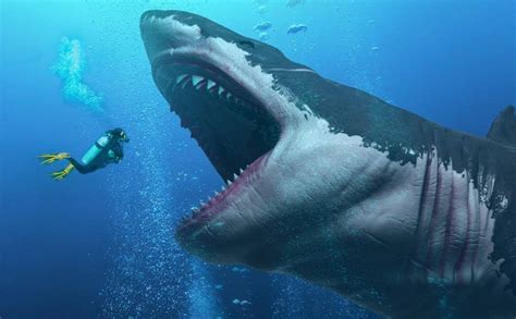 巨齿鲨VS梅氏利维坦鲸，谁才是真正的海洋霸主？_腾讯视频