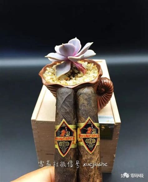 香港雪茄位居亚洲榜首，铜锣湾寻“芳”野趣无穷 - 知乎