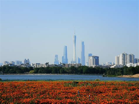 回顾海珠湿地成长足迹，展望湿地建设美好未来 _湿地保护_www.shidicn.com