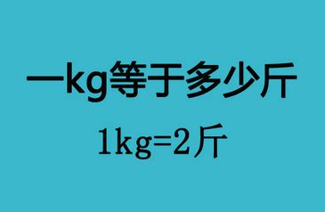 kg是公斤吗？1kg是多少斤？-亢卫的回答