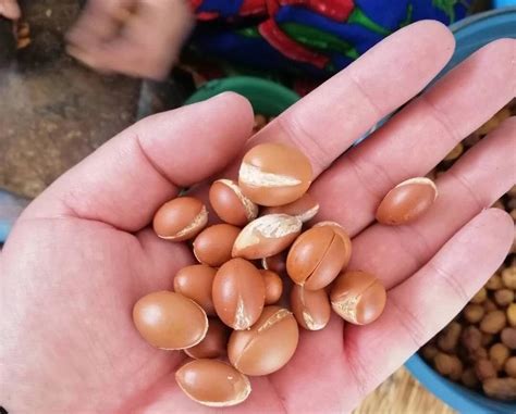 甘油一号可以做身体乳吗(甘油一号可以代替爽肤水吗)