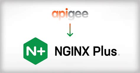 借助 NGINX Plus 实时活动监测保持系统运行状况选项卡 - NGINX