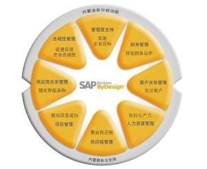 面向企业的SAP ERP解决方案-SAP B1/SAP BYD/SAP S/4 ERP软件