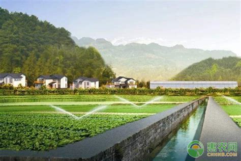 湖北省推动新型农业经营主体“提质”--湖北省农业农村厅