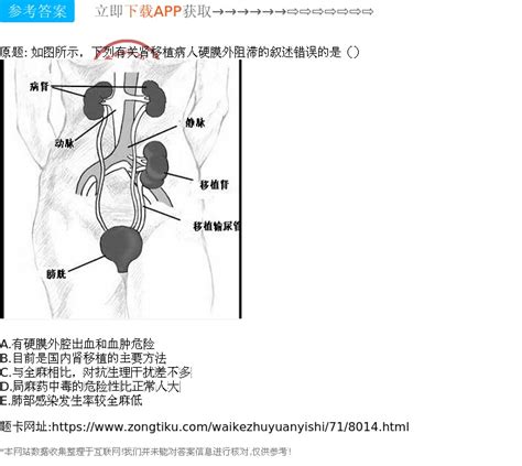 肾关的准确位置图图片 肾关的准确位置图图片