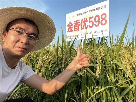 江苏省玉米大豆带状复合种植巡回观摩指导活动在苏垦农发黄海分公司举行