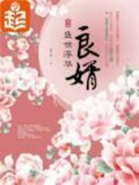《良婿》小说在线阅读-起点中文网