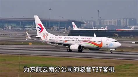 东航一架波音737客机坠毁，在万米高空垂直降落8000米翻滚后解体_腾讯视频