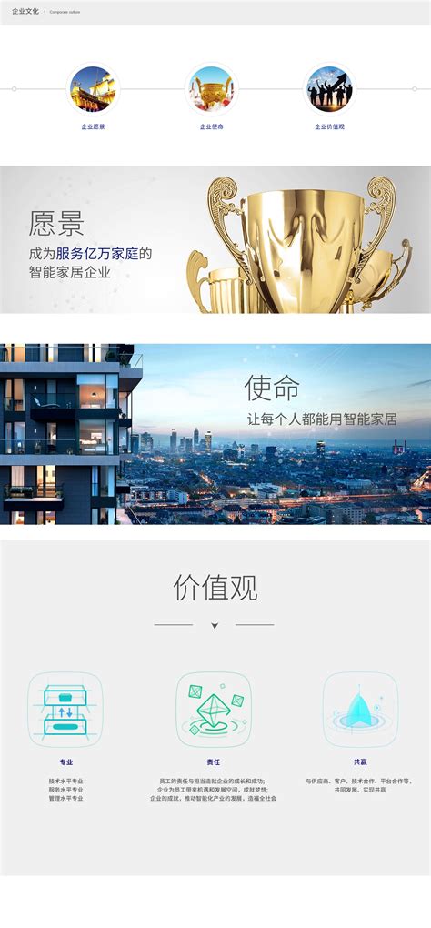 深圳市盛塔实业有限公司-易百讯网页设计