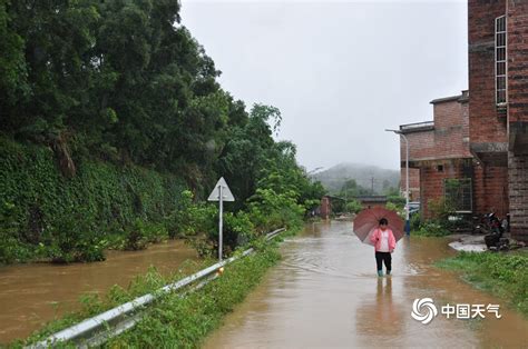街道被雨水淹没洪水洪涝绿化带淹水高清摄影大图-千库网