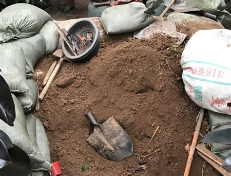 批发丹麦品氏托普泥炭土草炭土300L种植土丹麦土10-30mm-阿里巴巴