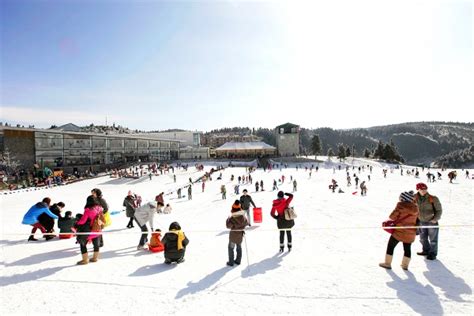 2019重庆仙女山下雪了吗？今日已降首场大雪 - 重庆自由行|重庆旅游攻略【重庆自由行门票预订】