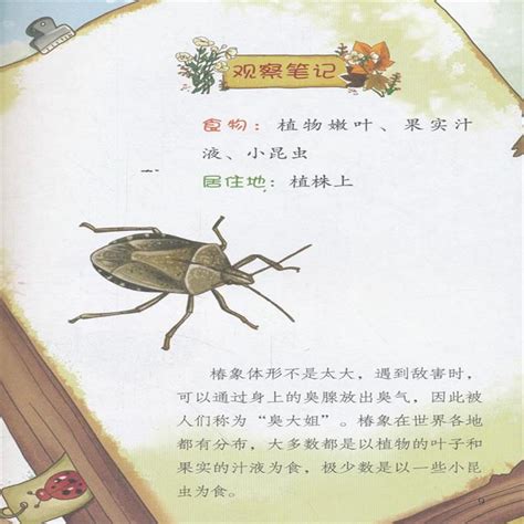 关于昆虫的简短小故事,昆虫十个简短小故事,关于昆虫的童话故事_大山谷图库