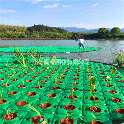 生态浮床人工浮岛水上种花浮岛水生蔬菜种植浮板水面绿化净化水质-阿里巴巴