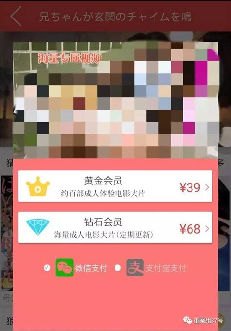 揭涉黄APP骗局:20秒小电影作幌 骗充值日入百万|骗局|涉黄|APP_新浪新闻