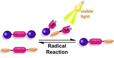 二硒键动态化学：可见光诱导的二硒交换反应-清华大学化学系