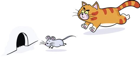 猫和老鼠图片_猫和老鼠图片下载_正版高清图片库-Veer图库