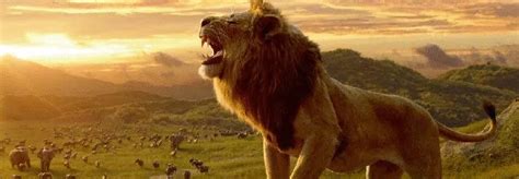 迪士尼近年翻拍真人版上瘾：最新“真狮版”《狮子王》与全球观众见面-新闻资讯-高贝娱乐