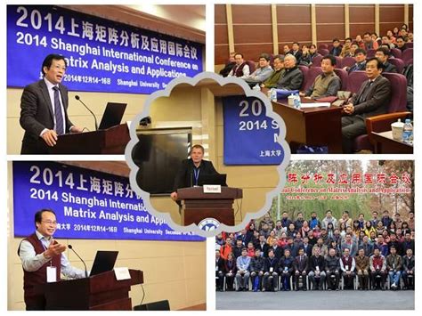 理学院成功举办“2014上海矩阵分析及应用国际会议”-上海大学