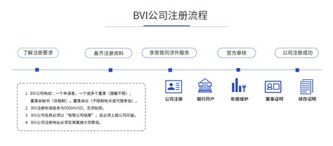 BVI公司的优势