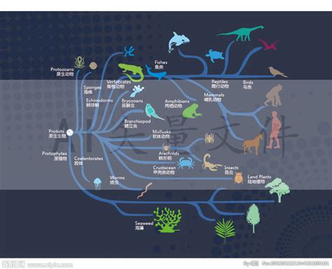 进化生物学图册_360百科