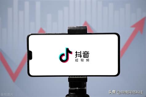 抖音排名前十网红（2021抖音网红排名） - 尚淘福