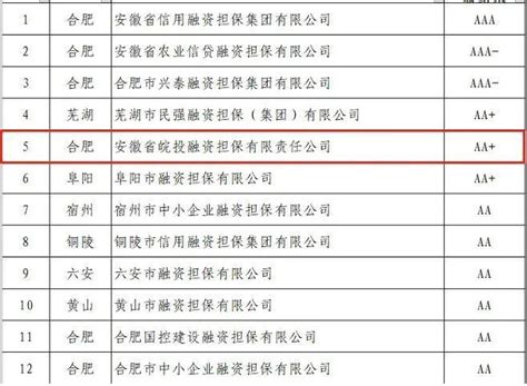 衡阳市人民政府门户网站-关于印发湖南省政府性融资担保机构再担保机构名单（第一批）的通知