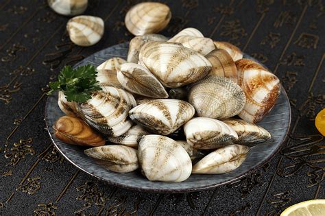 25种贝壳类海鲜盘点，你最常吃的是哪一个？_海鲜水产_什么值得买