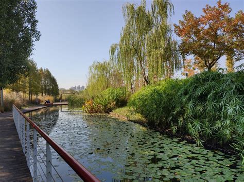北京丰台区南苑湿地公园将承载国家文化展示功能