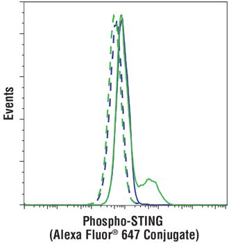 STING (D2P2F) Rabbit mAb | Cell Signaling Technology