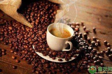 中国咖啡之乡-德宏小粒咖啡风味特点介绍_德宏咖啡品牌推荐 中国咖啡网