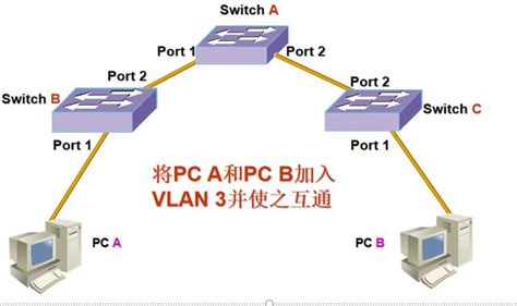 常用——VLAN管理——Trunk口设置
