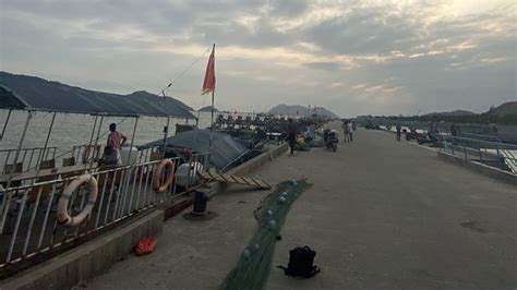 东海全面解禁：洞头126艘渔船开赴渔场-新闻中心-温州网