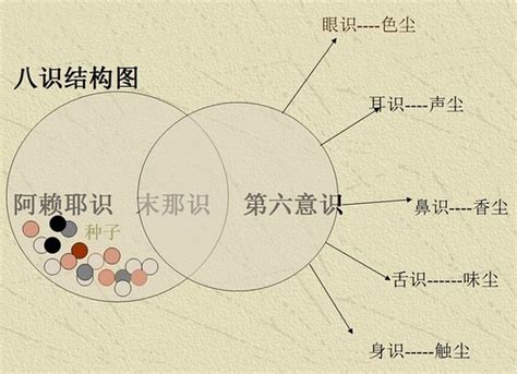 唯识学中的「八识心王」 - 佛教文化 - 蓁山观音寺 - Powered by 海颐软件