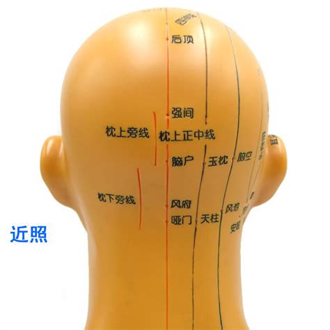 额头上的经络图图片