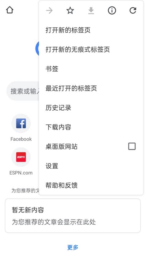 google浏览器英文版怎么设置成中文?_三思经验网