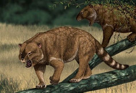 凶猛的“袋狮”：咬合力达400千克，可媲美狮子，敢猎食3米高的短面袋鼠，还会抓袋狼打牙祭 _www.isenlin.cn