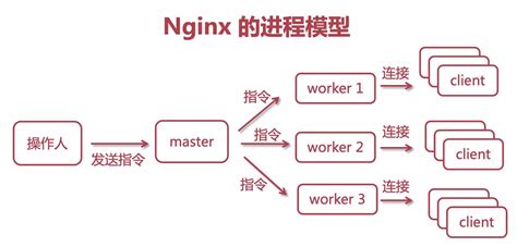 深入浅出Nginx实战与架构 - 知乎