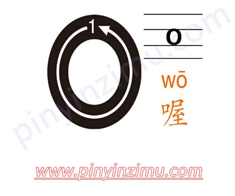 o的读法及写法 – 汉语拼音字母表-声母和韵母及整体认读音节