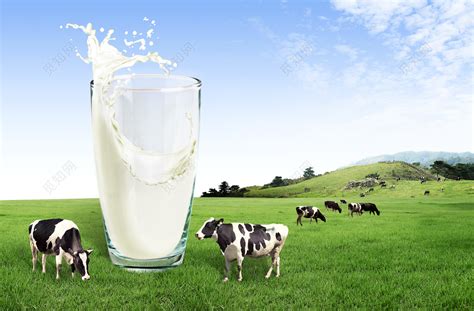 天然牧场牛奶海报背景素材免费下载 - 觅知网