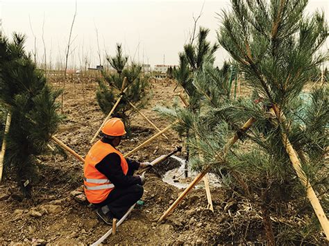 五大举措确保苗木顺利过冬 - 武汉泽安园林工程有限公司