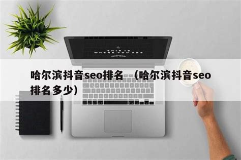 哈尔滨抖音seo排名 （哈尔滨抖音seo排名多少） - SEO百科 - 爱网站