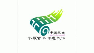 宁波发布标志logo设计,品牌vi设计